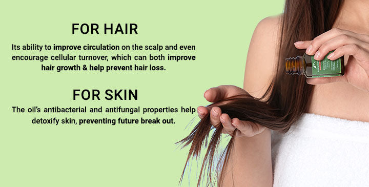 Alps Goodness Rosemary Essential Oil – 50 ml