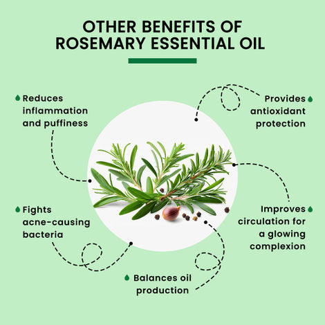 Alps Goodness Rosemary Essential Oil – 50 ml